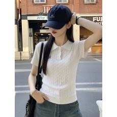 批发韩系麻花小衫女夏季冰丝透气针织短袖polo领t恤设计感刺绣上衣ins