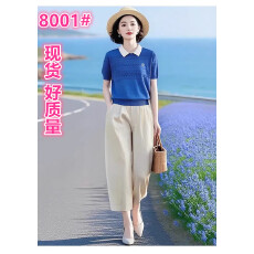 批发2026春夏新款翻领短袖针织衫+松紧腰九分<b class='q'>哈伦裤</b>时尚<b class='q'>套装</b>