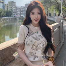 批发新款春秋毛衣<b class='q'>女款</b>高级感刺绣宽松针织衫内搭可外穿百搭