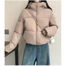 批发2026冬季新品假两件女装短款双领长袖立领抓绒连帽棉服<b class='q'>风衣</b>
