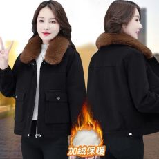 批发可拆卸毛领加绒款短外套秋冬季新款宽松<b class='q'>大码</b>胖mm纯色妈妈卫衣女装
