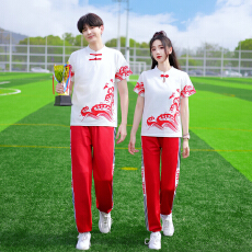 批发实拍出货中2026新款学生民族风运动会毕业季班服