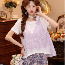 批发【逸紫轻杨】夏季<b class='q'>新款</b>小衫假两件设计感上衣女