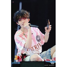 批发原版做工原版面料苏/新/皓同款条纹短袖球服<b class='q'>T</b><b class='q'>恤</b>马赛克猫咪男女夏