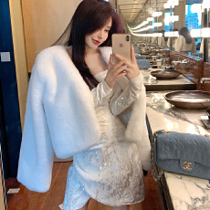 批发实拍 <b class='q'>秋</b>冬韩版仿皮草环保毛绒外套气质上衣加厚高级感短款大衣