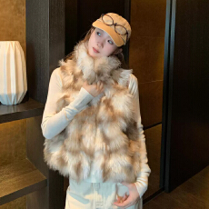 复古风无袖毛毛外套高级立领韩版环保毛皮草年轻款百搭马甲女冬