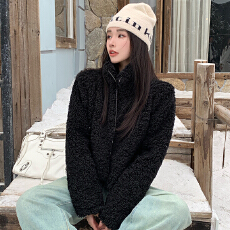 实拍立领韩版冬季羊羔毛外套女时尚休闲宽松短款夹克开衫毛毛外套