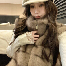 批发秋冬季复古风立领马甲女韩版<b class='q'>气质</b>保暖无袖环保毛毛拉链仿貂毛外套