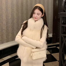 批发巴黎日记秋冬新款环保<b class='q'>狐狸毛</b>皮草女年轻短款马甲韩版立领毛毛外套