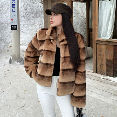 实拍韩版冬季新款高级定制仿獭兔毛毛双色渐变手工渲染短款立领女