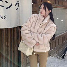 批发实拍复古韩版新款立领仿水貂毛<b class='q'>女</b>冬季长袖拉链环保狐狸毛毛外套