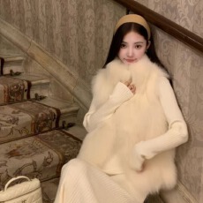 批发<b class='q'>秋</b>冬新款环保狐狸毛皮草女年轻小个子短款马甲韩版立领毛毛外套