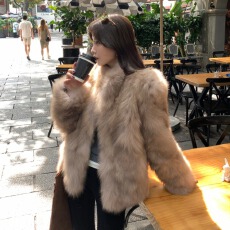 批发秋日氛围感仿狐狸毛立领皮草外套保暖短款晕染环保毛毛小个子大衣