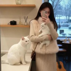 批发秋<b class='q'>冬</b>季高级感奢贵仿山羊绒毛毛环保皮草马甲女短款毛茸茸外套