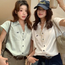 批发26年夏上新 通勤简约休闲大气小马刺绣上衣女V领老钱风时尚衬衫
