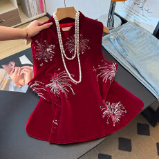 批发实拍新中式春季新款立领斜襟丝绒重工亮片刺绣圆弧下摆坎肩马甲