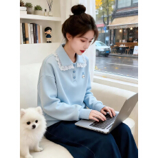 批发实拍韩系蓝色polo衫翻领<b class='q'>上衣</b>女2026春装新款宽松慵懒风卫衣