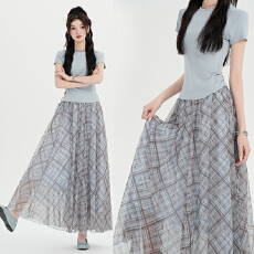 批发实拍 新款女高级感垂感飘逸格纹长裙新款温柔风显瘦A字裙