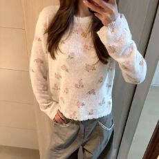 批发微透软糯花卉针织<b class='q'>罩衫</b>女2026秋季新款韩版宽松上衣