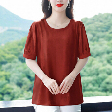 批发夏季新款时尚<b class='q'>妈妈装</b>小衫时尚短袖T恤减龄百搭女上衣宽松纯色洋气