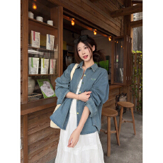 批发韩系复古<b class='q'>刺绣</b>牛仔<b class='q'>衬衫</b>女2026春款设计感别致撞色纽扣长袖上衣外套