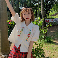 批发实拍 刺绣花朵短袖<b class='q'>衬衫</b><b class='q'>女</b>夏设计感法式小众气质复古灯笼袖上衣