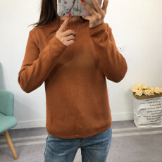 批发实拍黄金绒加绒加厚毛衣女套头秋<b class='q'>冬</b>新款半高领长袖针织衫打底衫