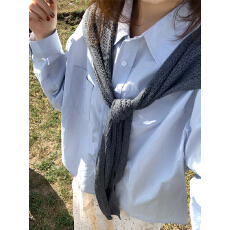 批发实拍2025秋冬学院风简约刺绣POLO领百搭宽松叠穿<b class='q'>衬衣</b>小衫