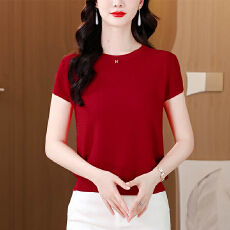 批发夏季新款桑蚕丝短袖<b class='q'>针织衫</b>女T恤时尚百搭圆领亲肤薄款上衣