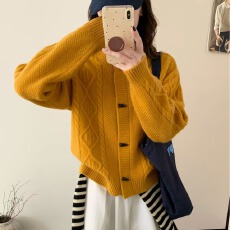 批发秋冬新款气质百搭麻花牛角扣毛衣上衣单排扣开衫女