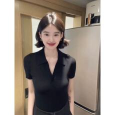 批发法式Polo领黑色针织短袖<b class='q'>T</b><b class='q'>恤</b>女夏季高级感气质修身显瘦正肩V领上衣