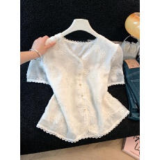 批发实拍2026夏季新款法式V领小雏菊刺绣蕾丝衫显瘦泡泡袖<b class='q'>雪纺上衣</b><b class='q'>女</b>
