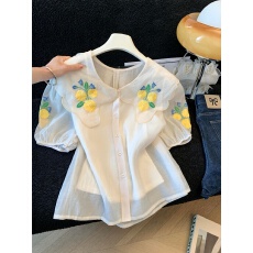 批发实拍雪纺衬衫女2026年<b class='q'>新款</b>法式别致刺绣娃娃领蕾丝上衣长袖打底衫