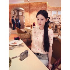 批发2026春季新品高级感玫瑰花刺绣针织短袖上衣女修身显瘦圆领毛衣女