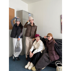 批发小个子立领马甲女2025<b class='q'>夏</b>季新款时尚洋气减龄坎肩大码背心马夹外套