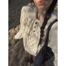 韩版麻花纹翻领针织衫上衣女秋冬温柔百搭毛衣
