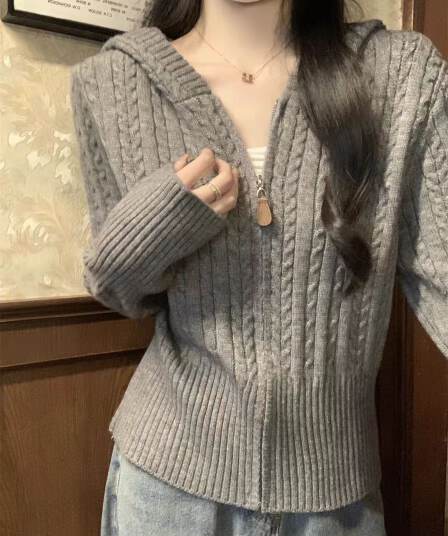 앤디 플러시 꽈배기 후드 두꺼운 지퍼 스웨터 오픈 가디건 여성 코트 이른 봄 고급 센스 부드러운 찹쌀 니트 스웨터 맨위