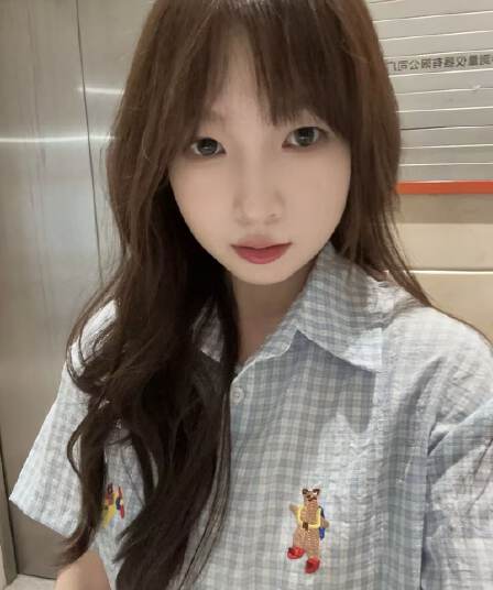 파란색 POLO 칼라 자수 반팔 여성 셔츠 여름 다용도 Chic 체크무늬 셔츠