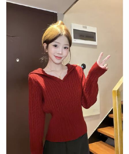 V넥 후드 풀오버 풀오버 니트 스웨터 2026 가을 겨울 새로운 몸매 가꾸기 미니멀리즘 패션 다용도 쇼트 스타일 맨위