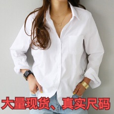 批发2025春季新款纯色纯棉打底长袖<b class='q'>衬衫</b> <b class='q'>OL</b>职业修身显瘦翻领<b class='q'>衬衣</b>女