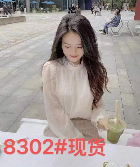 레이스 기본 셔츠 인사이드 가져 가라. 2026 년 새로운 가을 쉬폰 블라우스 망사 디자인 센스 여성 작은 대중 거품 소매 맨위