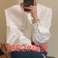 批发<b class='q'>韩国</b>chic法式镂空刺绣衬衫翻领单排时尚减龄白衬衫女上衣韩系小衫