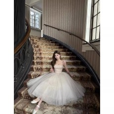 批发吊带<b class='q'>连衣裙</b>女高级感公主裙蓬蓬绝美超仙晚<b class='q'>礼服</b>成人礼网纱生日裙子