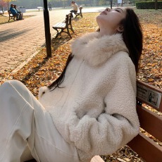 批发韩系东大门甜美羊羔毛半边绒毛领加厚毛毛外套女秋冬新款宽松显瘦