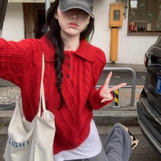 批发<b class='q'>韩版</b>麻花纹翻领针织衫上衣女秋冬温柔百搭毛衣