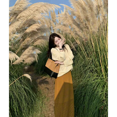 批发实价有货设计感浅黄色v领镂空<b class='q'>针织</b>毛衣2026春季拼接长裙两件套