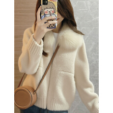 批发独特漂亮的米白色慵懒风小个子<b class='q'>短款</b>加厚摇粒绒羊羔毛外套女款冬季