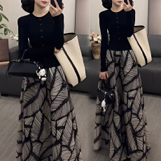 批发官图 超好看秋冬穿搭一整套小香风高级感穿搭上衣印花<b class='q'>半身裙</b>套装