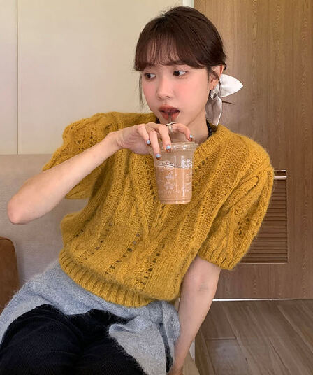 실사 ins 바람 작은 대중 한 부서 레트로 소녀 홀로우 아웃 자수 라운드 넥 거품 소매 반팔 스웨터