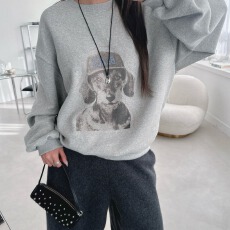 批发韩版宽松腊肠犬印花圆领卫衣<b class='q'>女休闲</b>百搭减龄套头上衣 ins 潮